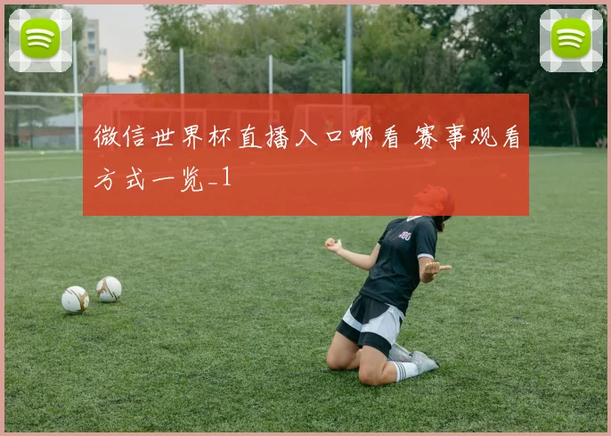 微信世界杯直播入口哪看 赛事观看方式一览_1