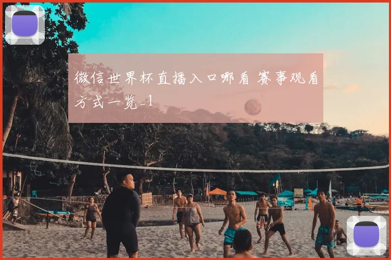 微信世界杯直播入口哪看 赛事观看方式一览_1