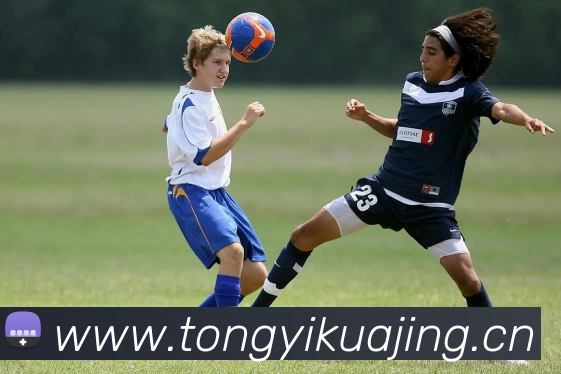 APP界面展示